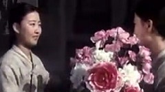 盛开革命的红花