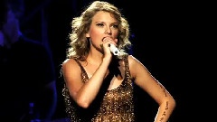 Taylor Swift - The Story of Us