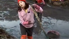 青春不败 - 青春不败