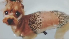 2NE1 - 敏智INS更新