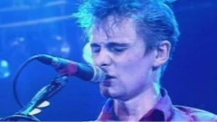 Muse - Muscle Museum