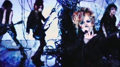 Nightmare - Swallowtail