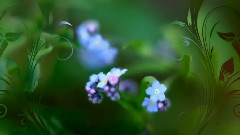 КРАСИВАЯ МЕЛОДИЯ ДЛЯ ДУШИ