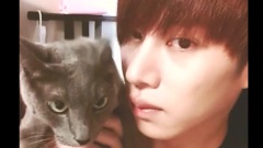 希澈IG视频更新