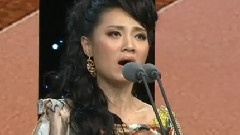 吴静 - 丝绸之路