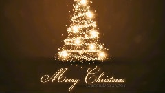 Xinxin International