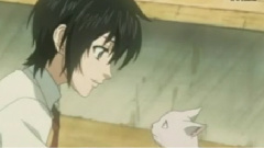 ELISA - HIKALI 中日字幕动画版