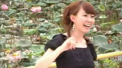 盼着过年好回家