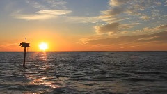 Jesse Cook - Parasol