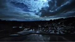 风景 - The Conversation