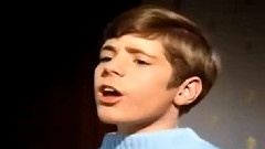 夏日的最后一朵玫瑰