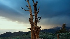 风景 - Sunset Glow