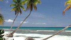 风景 - White Sand Beaches