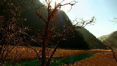 风景,音乐短片 - 九寨沟之芦苇海