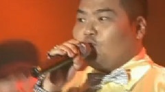 乌龟组合 - 飞机