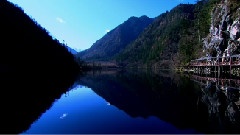 风景,音乐短片 - 九寨沟之熊猫海