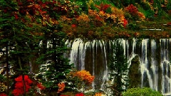 风景,音乐短片 - 九寨沟之犀牛海