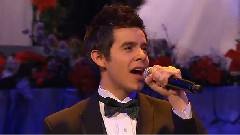 Glad Christmas Tidings