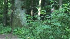 电影 <The Being Experience>