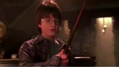 Every Harry Is A Potter