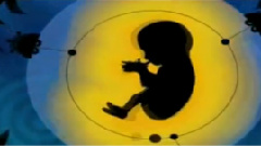 Gojira - All The Tears