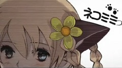 Nico - サリシノハラ