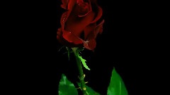 风景,音乐短片 - 唯美开花全程微速摄影