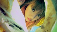 栅栏间隙偷窥你