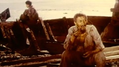 金姬和银姬的命运