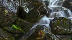 Bandari,轻音乐,音乐短片 - 春水