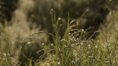 Childs,音乐短片 - Marysal