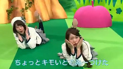 かわいいどうぶつさん