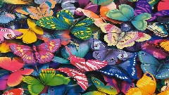 Sarah Brightman - The Smile