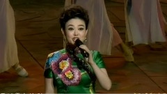 王庆爽 - 人和是至宝