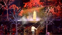 Taylor Swift - Enchanted