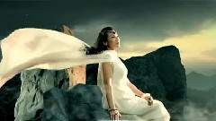 民乐群星 - 草原情歌