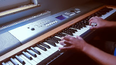 Lost In The Echo 电子琴音乐版