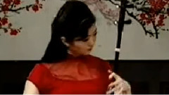 于红梅 - 洪湖随想曲 二胡独奏