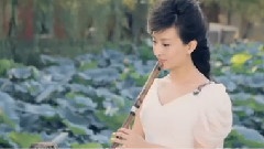 纳兰 - 来生缘一世情