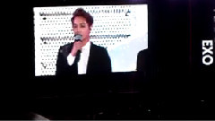 History & Talk & Wolf