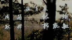 朱逢博 - 飞向远方的故乡