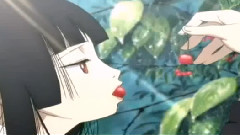 逆さまの蝶(逆蝶)