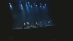 Вуаль Лауры