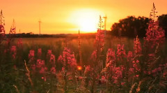 Giovanni Marradi - Shadows