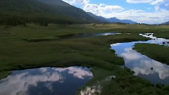 Bernward Koch - Bernward Koch