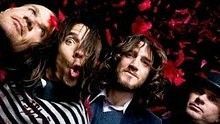 Red Hot Chili Peppers - Brendan's Death Song 高清官方版