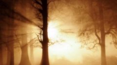 Michel Pépé - La Pierre Sacree