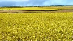 风景,音乐短片 - 发现美丽台湾之夏