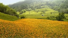 风景,音乐短片 - 发现美丽台湾之秋