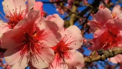 The First Day of Spring